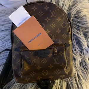 Louis Vuitton Palm Springs PM